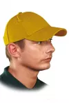 Gastro šiltovka #8